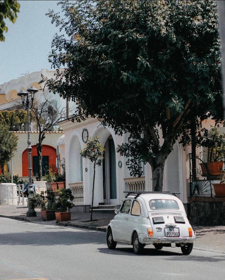 Hotel Rosetta Ischia Zewnętrze zdjęcie